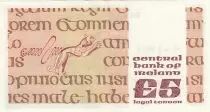 Irlanda 5 pounds - John Scotus Eriugena - 1987 - P.71d