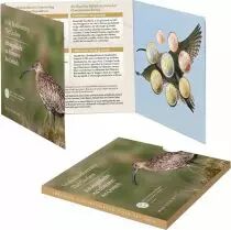 Irlanda BU Euro 2024 box set - The Curlew