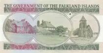 Isole Falkland 10 Pounds, Elizabeth II, penguins - Village  - 2011