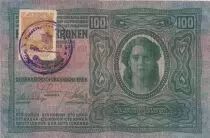Iugoslavia 100 Kronen - Woman head - Coat of arms, stamp - P.9