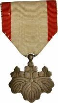 Jap&oacute;n Medal - Order of the Rising Sun - 8th Class