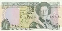 Jersey 1 Pound - Elizabeth II - Jersey - 1993 - FC Series