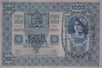 Jugoslawien 1000 Kronen - Woman - Arms - Stamp (text in croatian) - 1919 - P.10B