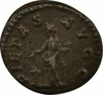 Julia Domna - Silver Denarius, Pietas - 204 Rome
