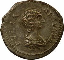 Julia Domna - Silver Denarius, Seated Fortuna - 209 Rome