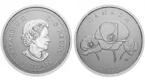 Kanada 5 Dollars Elisabeth II - Remembrance Day - Silver - 2022 - Coincard