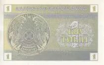 Kazajst&aacute;n 1 Tyin - Green and yellow - 1993 - UNC - P.1