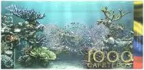Kolumbien (Club de Medellin) 1000 Cafeteros, Isla Baru : Galleon - Pelican - Coral - 2014
