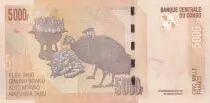 Kongo (RDC) 5000 Francs Statuette - Zebras - 2013 - Specimen