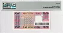 Libanon 5000 Livres - Pink - Remplacement - 2008