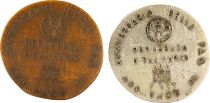 Lot de 2 médailles de 1976 - 25 ans du FAO - Argent et Bronze - avec certificat