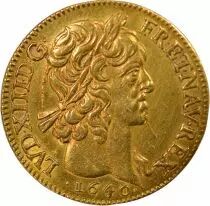 Louis XIII - Gold Louis, with Eight L - 1640 A Paris