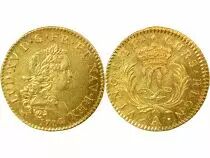 Louis XIV - Gold Louis, Mirliton with Long Palms - 1724 A Paris