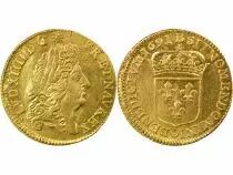 Louis XIV - Gold Louis with Shield - 1691 B Rouen, Reformed