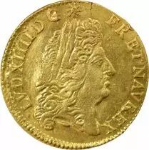 Louis XIV - Gold Louis with Shield - 1691 B Rouen, Reformed