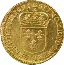 Louis XIV - Gold Louis with Shield - 1691 B Rouen, Reformed