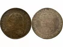 Louis XV - Silver Ecu, of Navarre - 1719 A Paris