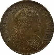 Louis XV - Silver Ecu, of Navarre - 1719 A Paris