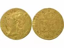 Louis XVI - Gold Louis, with Bare Head - 1786 I Limoges