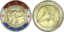 Luxembourg 2 Euros - Jean Lieutenant-Représentant - Colorised - 2011