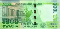 Malawi 1000 Kwacha, Hastings Kamuzu Banda - 2016