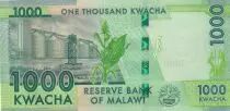 Malawi 1000 Kwacha Hastings Kamuzu Banda - 2024