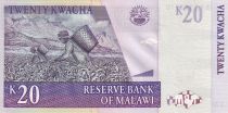Malawi 20 Kwacha - Reverend John Chilembwe - Plantation de thé - 2007 - P.52a