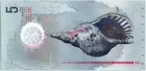 Maldives 5 Rufiyaa, Football, Coquillage - Polymer - 2017