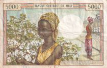 Mali 5000 francs - Man and cattle - Cotton - ND (1972-1984) - Serial Z.7 - P.14e