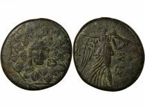 Mithridates VI - Tetrachalkon with Aegis - 85 / 65 BC Amisos