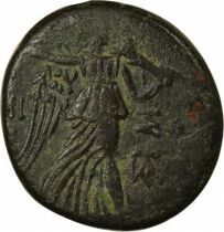 Mithridates VI - Tetrachalkon with Aegis - 85 / 65 BC Amisos