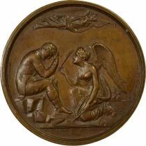 Napoleon I - Copper Medal, Exile to Saint Helena - \ Copie\ 