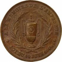 Napoleon I - Copper Medal, Return of the Ashes - 1840