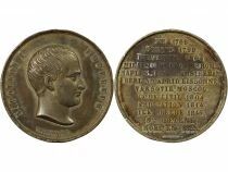 Napoleon I - Tin Medal - 19th Century