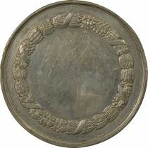Napoleon III - Tin Medal - 19th Century