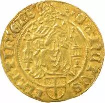 Netherlands Bishopric of Utrecht, David of Burgundy - Gulden - 1464 / 1492 Wijk bij Duurstede