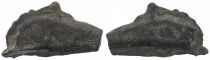 Olbia - Proto-currency, Dophin - Vth Century BC