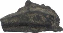 Olbia - Proto-currency, Dophin - Vth Century BC