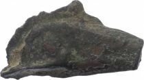 Olbia - Proto-currency, Dophin - Vth Century BC