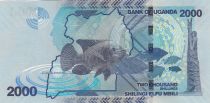 Ouganda 2000 Shillings - Mer - Poissons - 2021 - Série DN - P.NEW