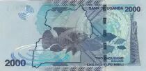 Ouganda 2000 Shillings - Mer - Poissons - 2021 - Série DN - P.NEW
