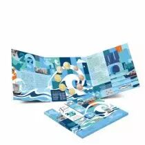 Pays-Bas Coffret BU Euro 2023 - EAU - Les 4 éléments