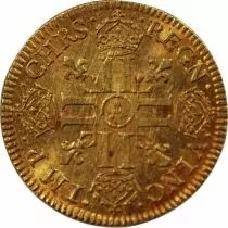 Pi&egrave;ce Francia 1 louis d\'or Oro Louis XIV 1644 A Paris