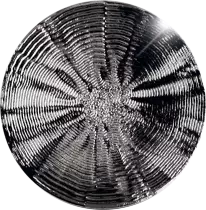 Pièce Netherlands 2020