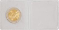 Plastic pocket for coins 95x48 (per 100)
