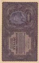 Pologne 1000 Marek Tadeusz Kosciuszko - 1919  - I s&eacute;rie AB