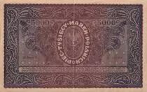 Pologne 5000 Marek - T. Kosciuszko - Femme - 1920 - Séries variées - P.31