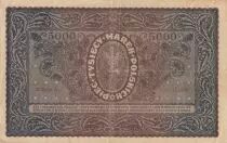 Polonia 5000 Marek  1919  - T. Kosciuszko, Armoiries - Serial III G