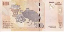 Repubblica Democratica del Congo 5000 F Statue - Zebras