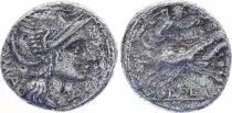 République Romaine Denier,  Flaminia  -108 ROMA